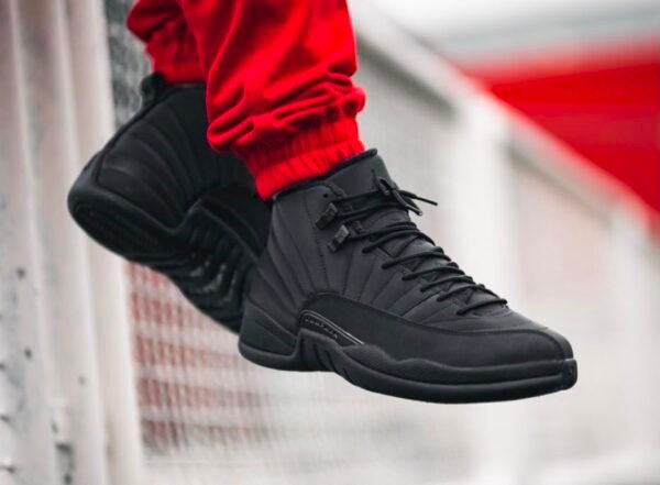 JORDAN 12