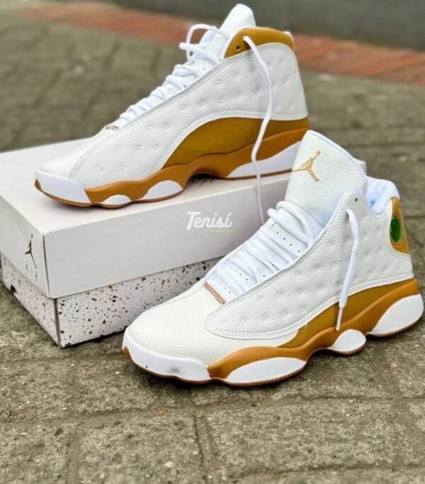 JORDAN 13