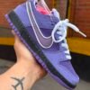 NIKE SB COLECCIÓN